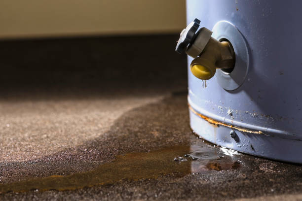 Best Carpet water damage restoration  in Lewisburg, PA