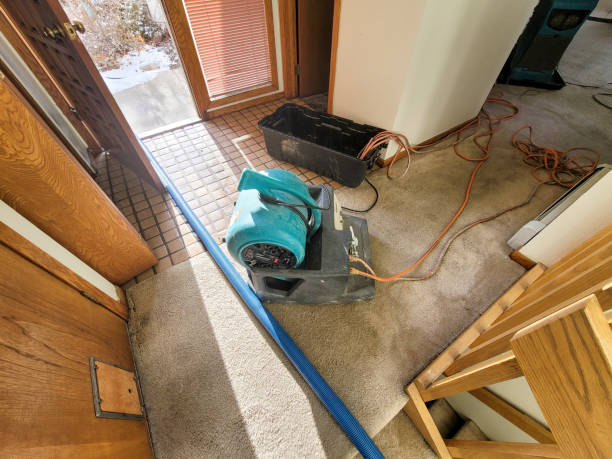 Best Water damage cleanup near me  in Lewisburg, PA