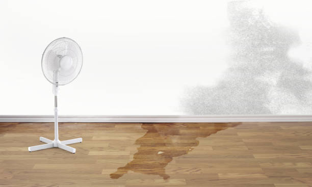 Best Water damage restoration specialists  in Lewisburg, PA