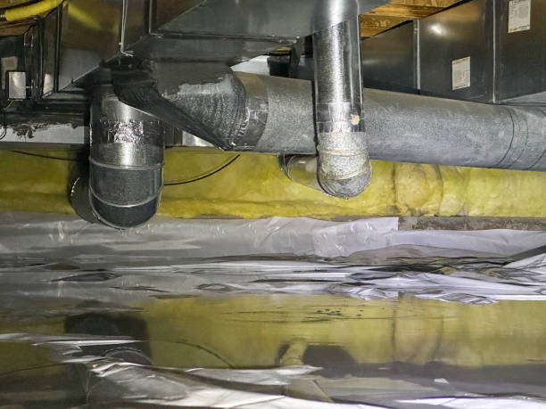 Best Water damage contractors near me  in Lewisburg, PA