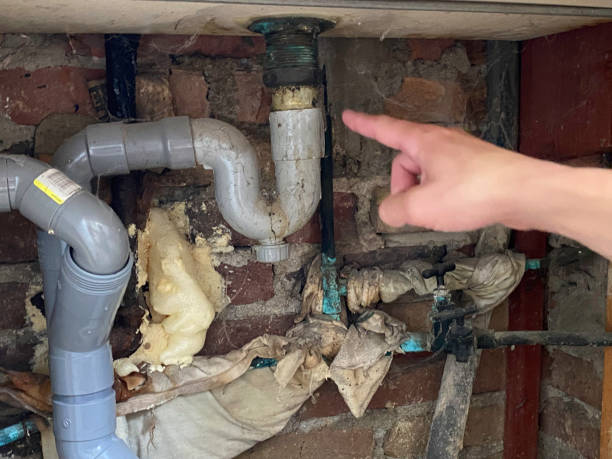Best Flood damage cleanup  in Lewisburg, PA