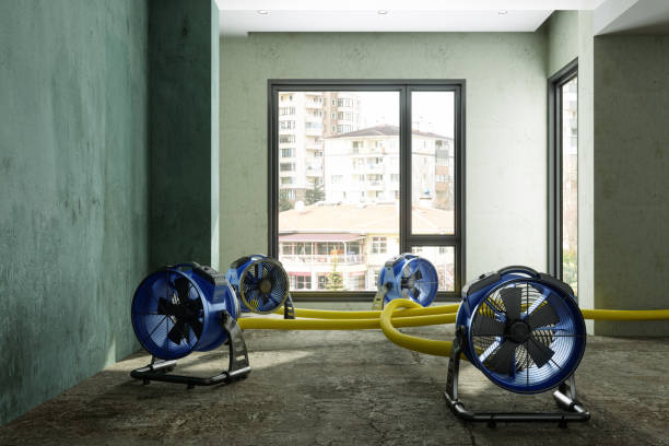 Best 24/7 water damage repair  in Lewisburg, PA